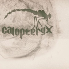 Calopteryx
