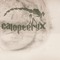 Calopteryx