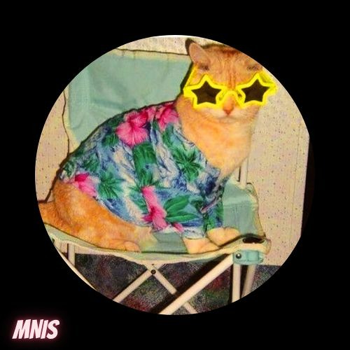 My Name Is Summer (MNIS)’s avatar