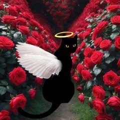 Kittyangelrose087♡