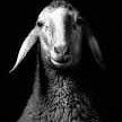 Moonlyes da Black sheep