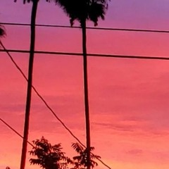 Beverly Hills Diaries