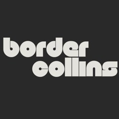 Border Collins