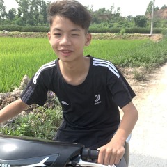 vl dm