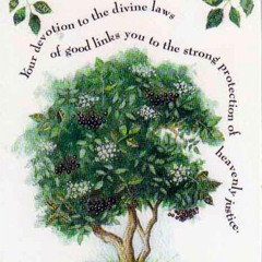 Lavender Spirit Creations