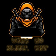 WORK NO SLEEP.ENT(PLATINUM O.G TEAM)