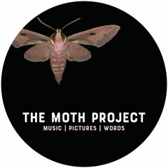 The MOTH PROJECT