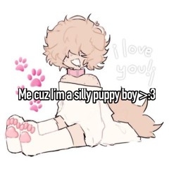 <<.+ silli dude +.>>