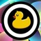 Forbidden Duck