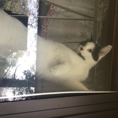 💯 Rico suave 💯 🥂🍾🎧🎮