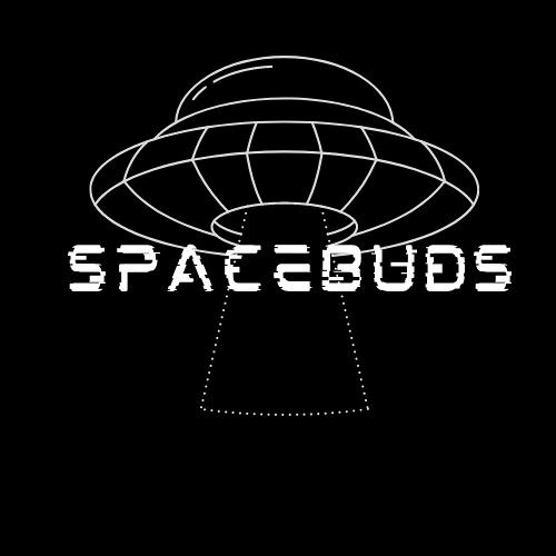 SPACEBUDS’s avatar