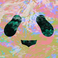 Panda Grass