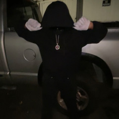 STS_Ny
