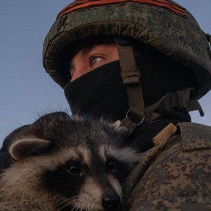 щенки