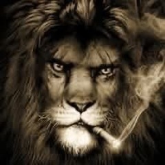 Sir AG Lionheart