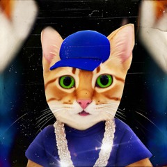 Lil Miauwzer