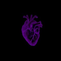 its_Stitch_B**ch🥱