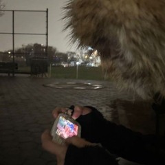 yr. ktz