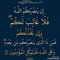 Mohamed Abo Elsood