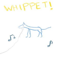 whippet