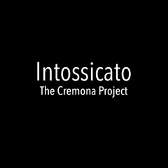 The Cremona Project