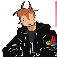 NikoBuildsBricks