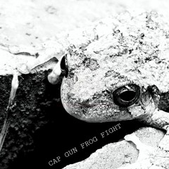 Cap Gun Frog Fight
