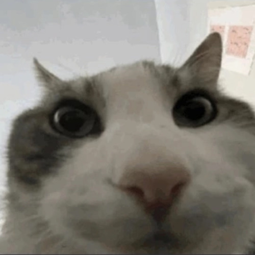 AZA # ZLO - SSC TUATARA