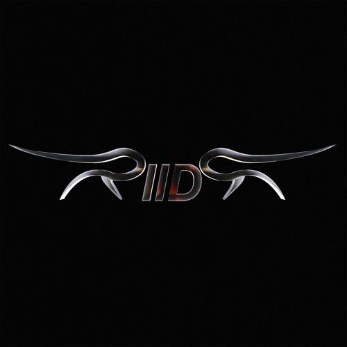 RIIDR’s avatar