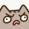 ︎ ︎ ︎