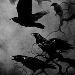 Delia Kills the diva