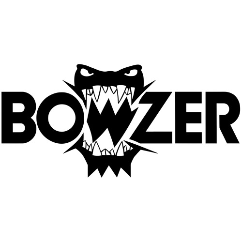 BOWZER MUSIC — artist photo