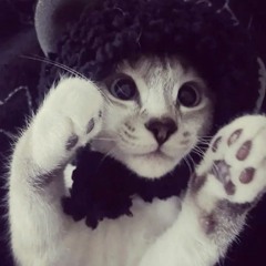 petlover21