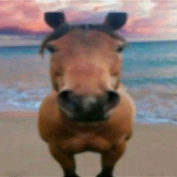 джеймс браун