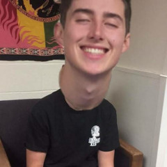 Zardodia