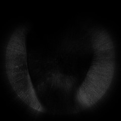 LOOPS