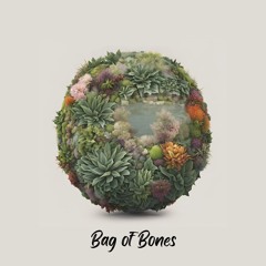 Bag of Bones Records