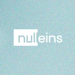 Nulleins Records