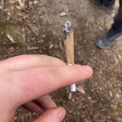 DR. VODKA - SENIORITA 200-H (Official Video).mp3