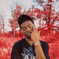Millez313