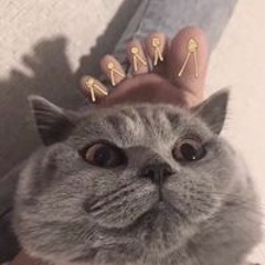 phuslee9,5