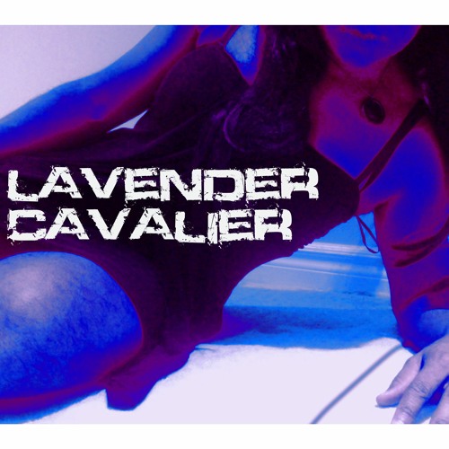 Lavender Cavalier’s avatar