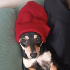spicesizejjjjjjjjj
