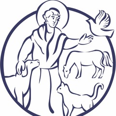 British Veterinary Nursing Association