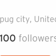 Yung pug Got Racks✅⭐️