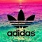 Nicolasdauvergne67