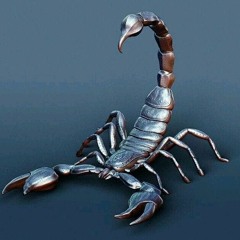 Scorpionka