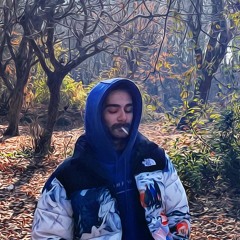 8 • Mas∞d Hesami