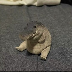 BB
