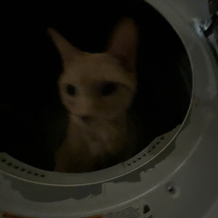 julian